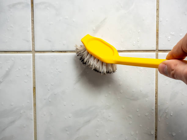 Best Water Damage Restoration  in Forrest, IL