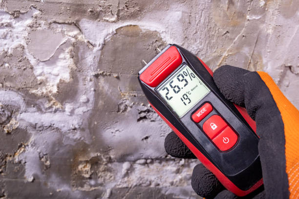 Best Commercial Mold Removal  in Forrest, IL