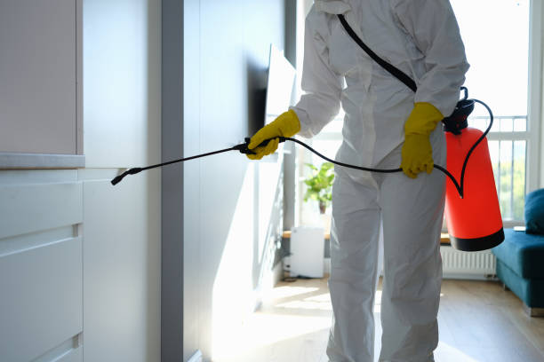 Reliable Forrest, IL Mold Removal Solutions