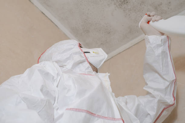 Best Mold Testing  in Forrest, IL